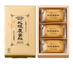 白色北國，歡樂到滑倒 北海道冬游記與鶴雅美瑛交通攻略更新
