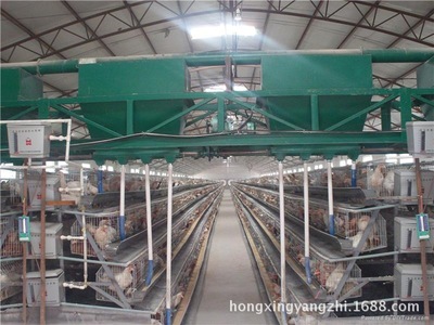 智能化籠養(yǎng)自動喂料機 提升養(yǎng)雞效率的關(guān)鍵設(shè)備